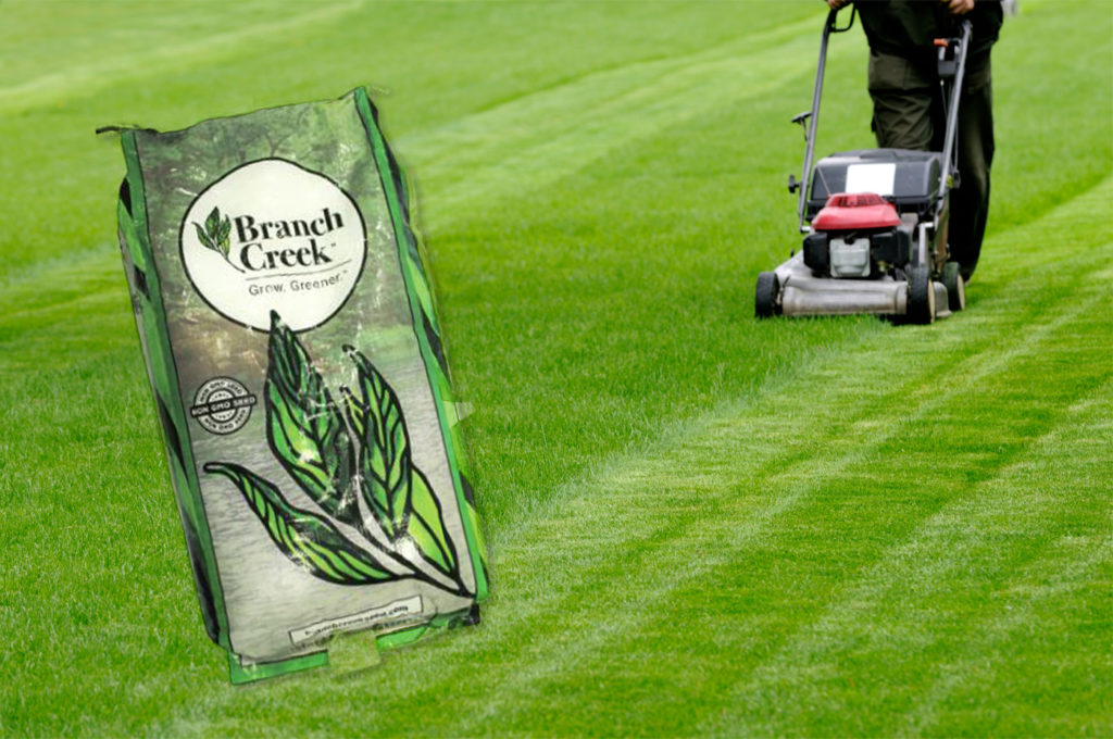 Evolution Seed bag on picture of green grass being mowed by push mower